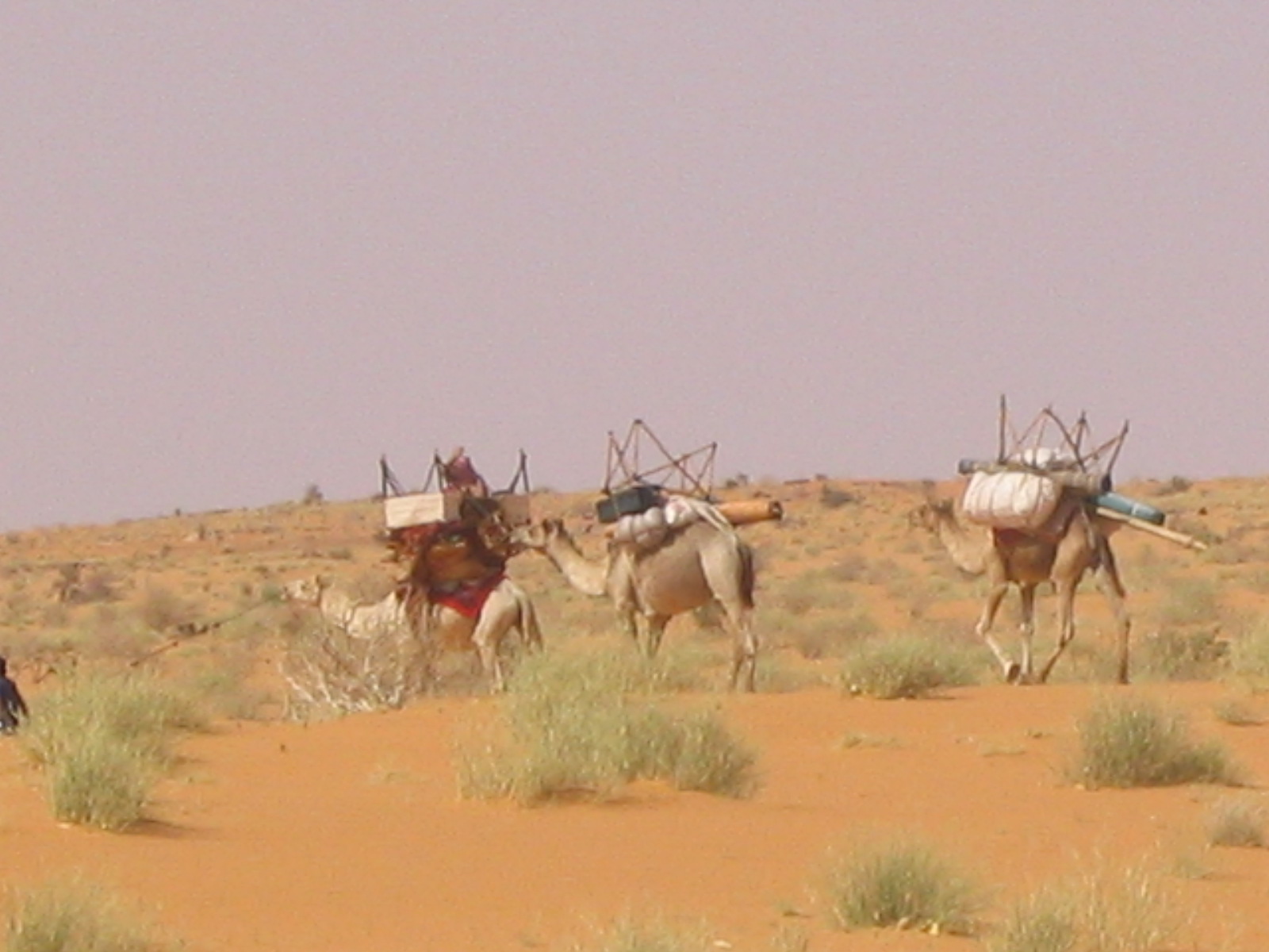 Culture mauritanienne
